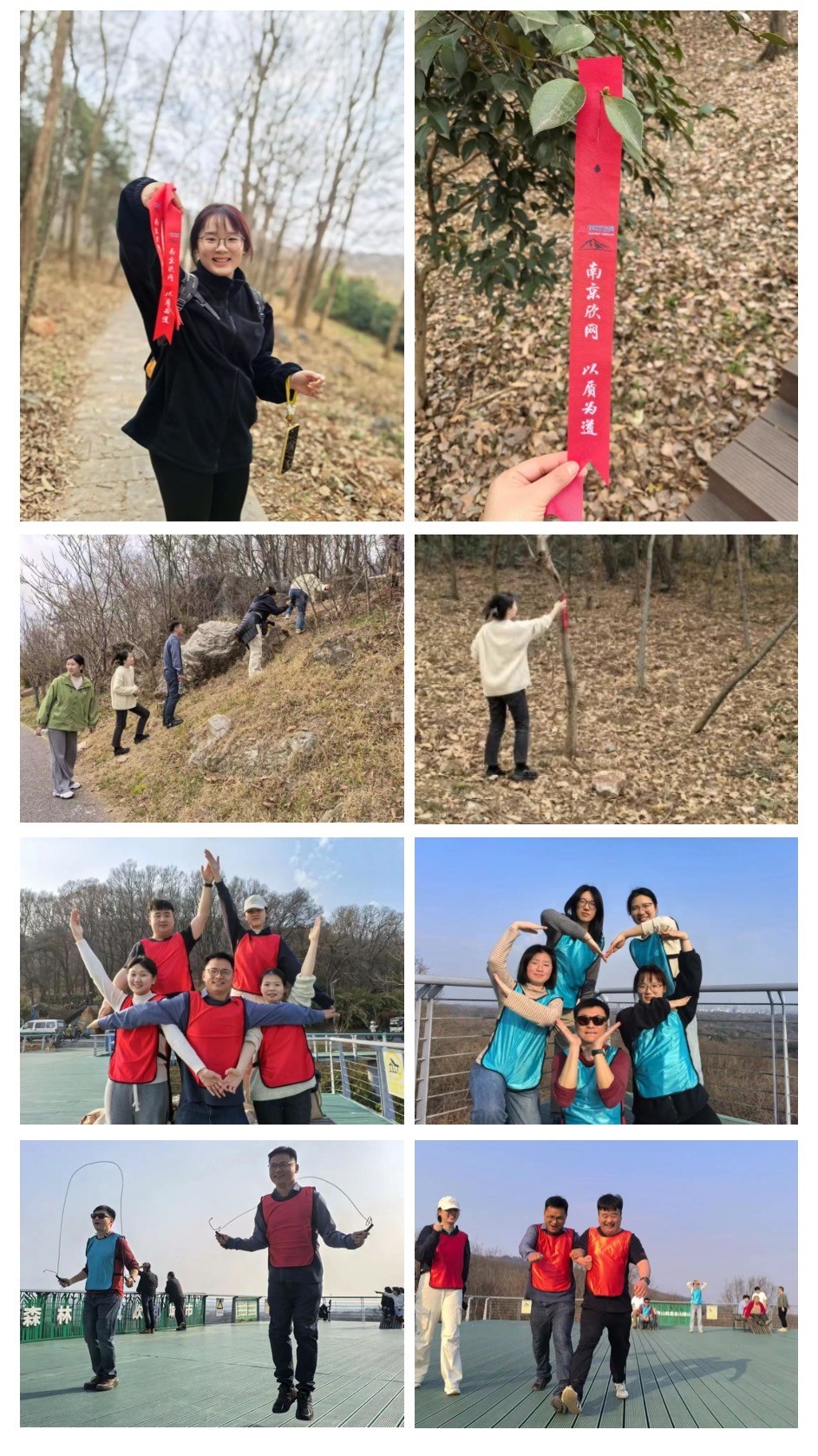 问鼎手机版app|南京欣网|欣网通信